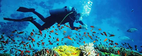 Malvan Tarkarli Trip