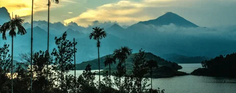 Wayanad Mysore Tour