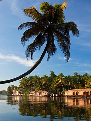 Kerala Tour Packages with Backwaters Beaches and Nature Holidays