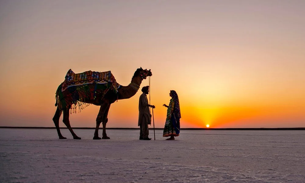 Rann of Kutch White Desert Experience