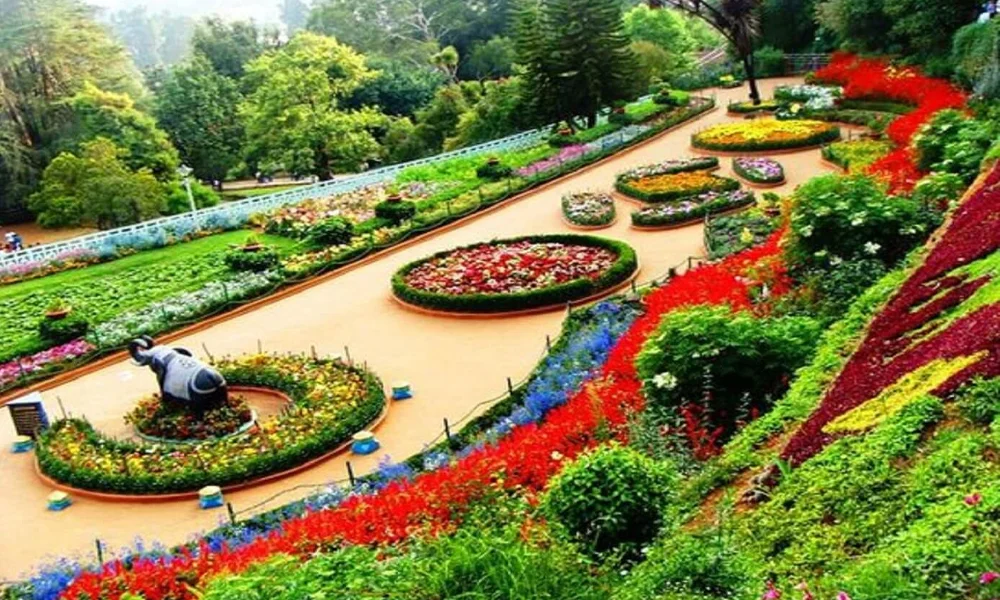 Wayanad Coorg Mysore honeymoon trip for couples