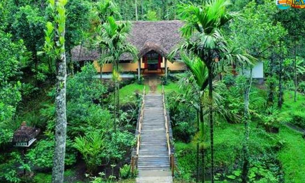 Spice Plantation Tour Kerala couple tour package