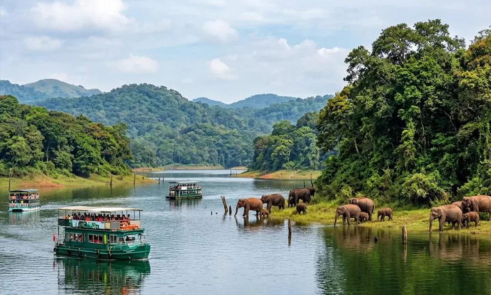 Thekkady Wildlife Sanctuary Kerala family tour packages
