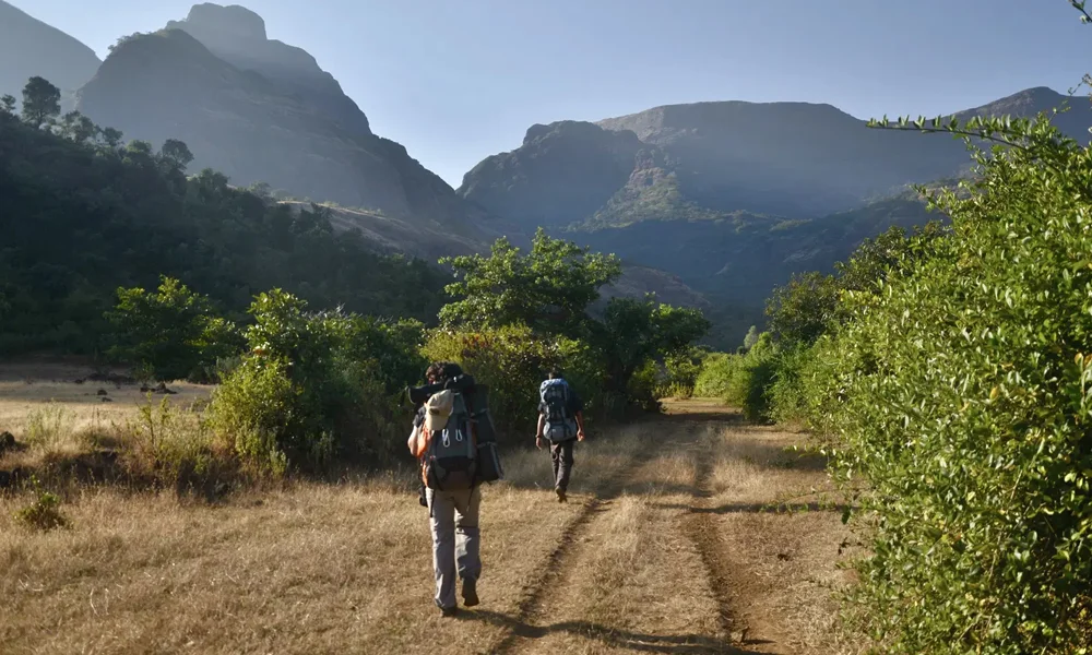 Western Ghats trekking through biodiversity-rich forests and waterfalls
