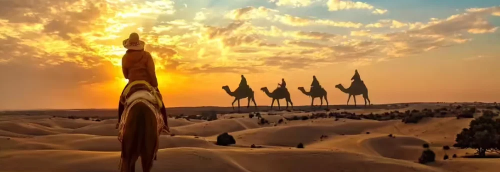 Rajasthan tour packages – royal forts, desert landscapes and heritage palaces